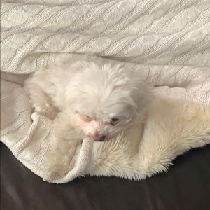 Meet your Posher, Kristen